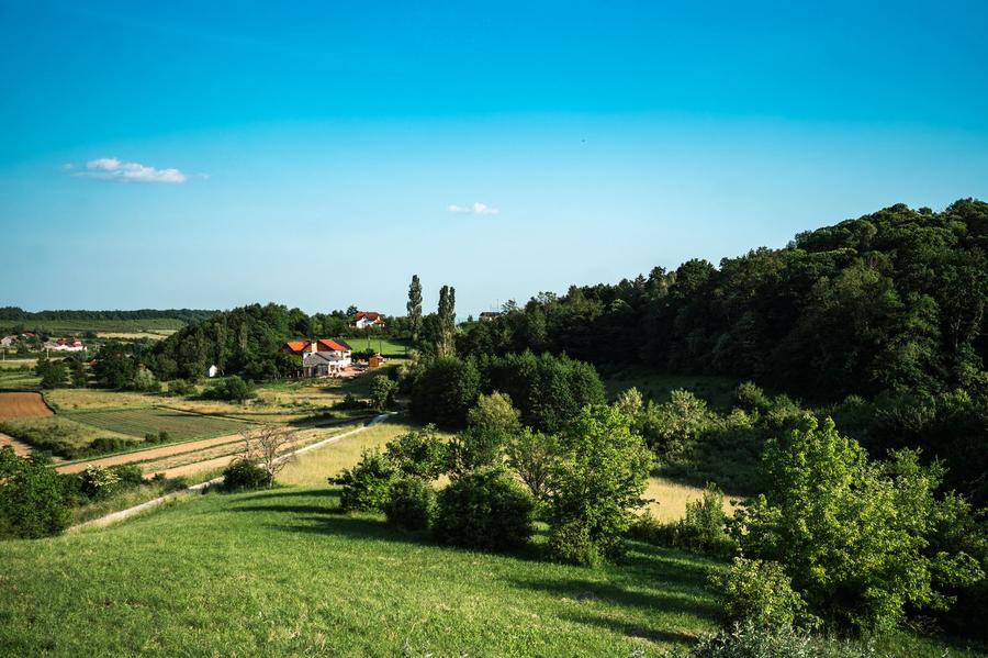 Unutrašnjost